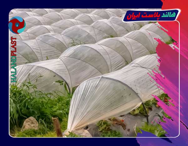 تولید انواع نایلون گلخانه