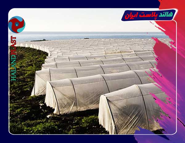 خرید و قیمت نایلون uv دار