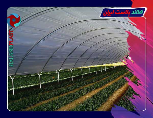 خرید و قیمت نایلون uv دار